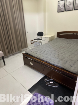 Full Furnished apartment for rent close to GEC Intersection.